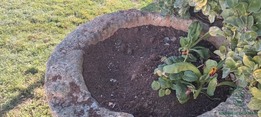 Proliferan los robos de plantas en los jardines de Bolaños
