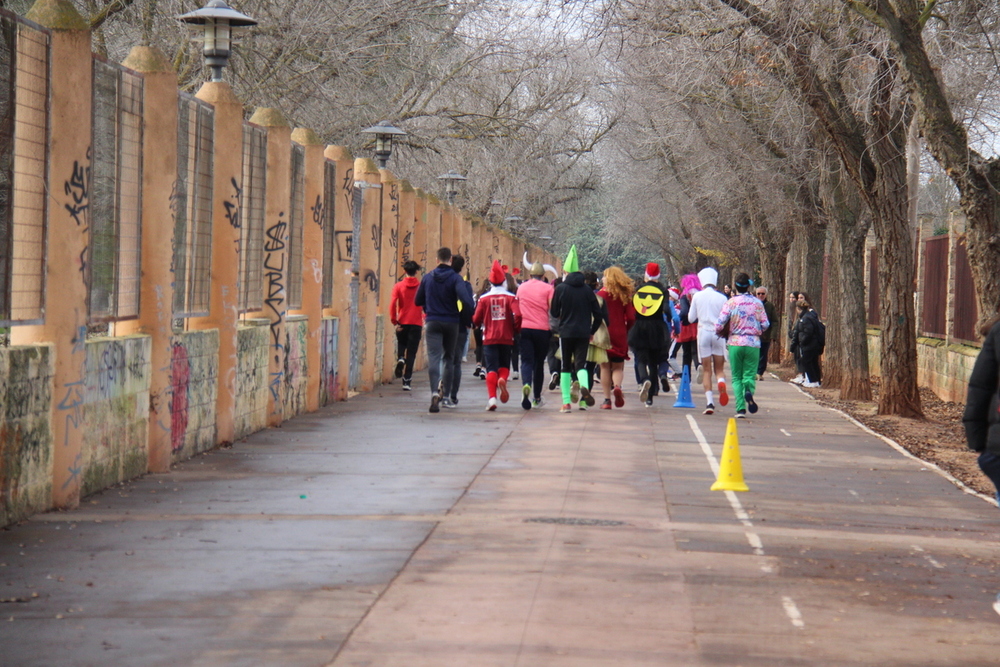 El IES María Zambrano viste de Navidad el parque Alces