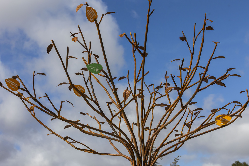 Un árbol escultórico recuerda a los donantes de riñón