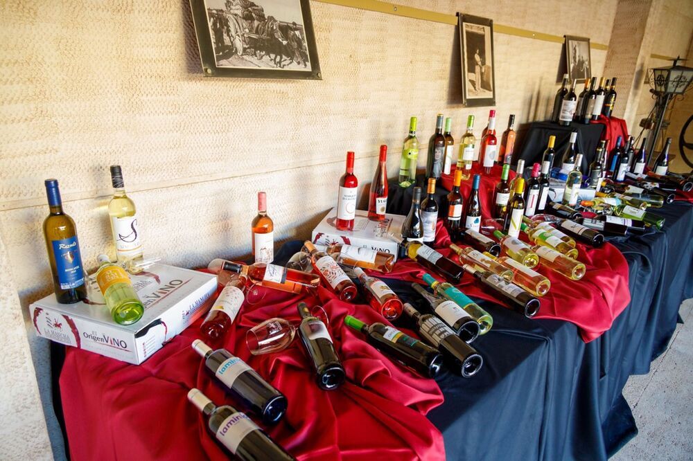 Consulta los mejores vinos de la DO La Mancha para este año