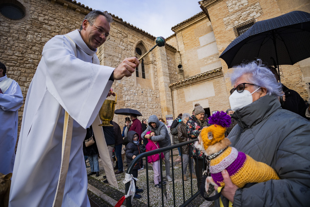 San Antón, bendición de animales en Santiago  / RUEDA VILLAVERDE