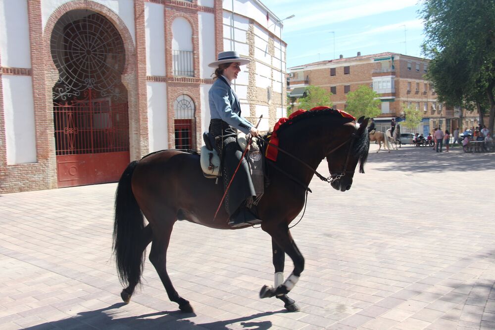 Decenas de caballos recorren las calles de Ciudad Real