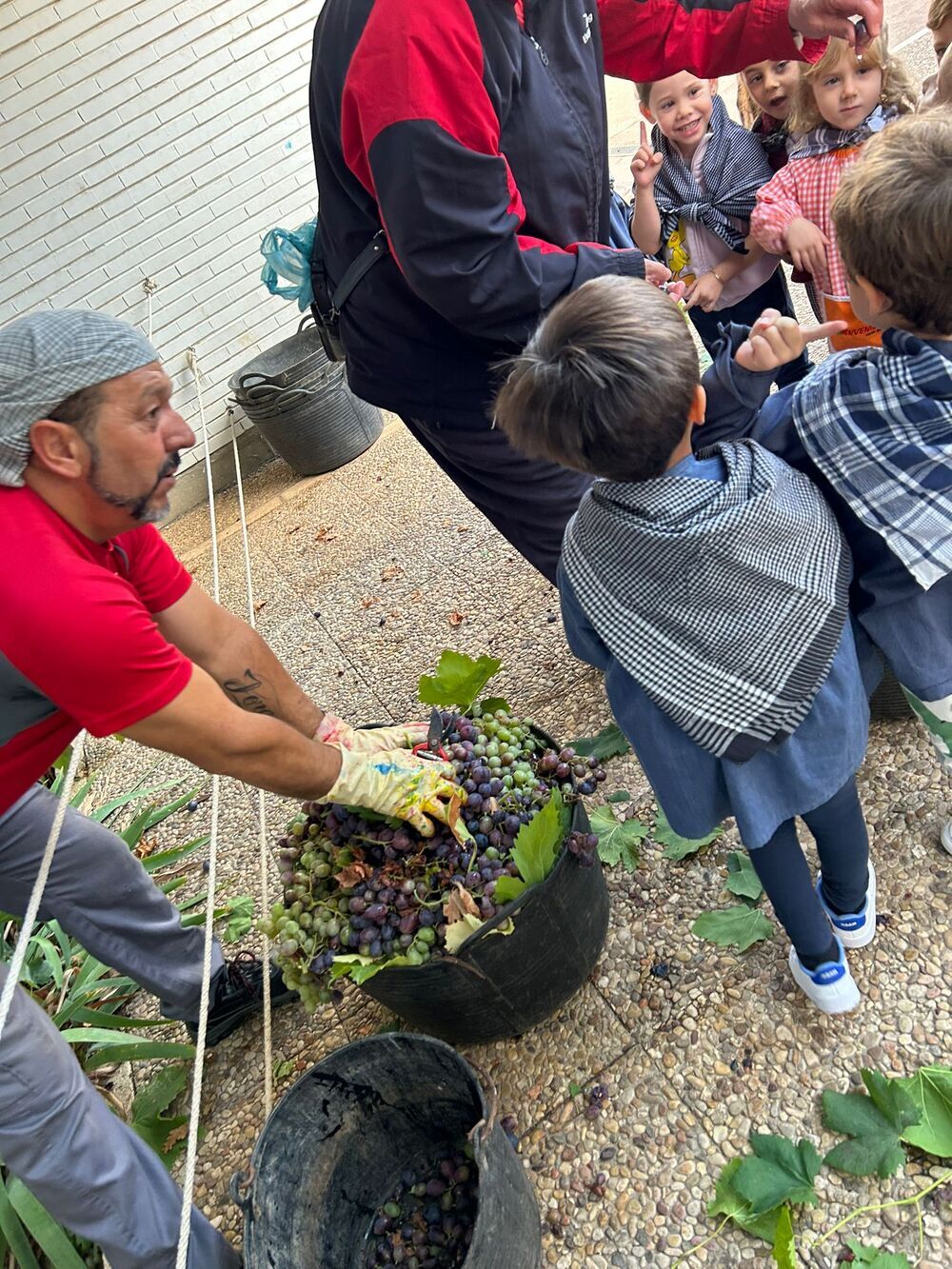 'A remate de vendimia', en el CEIP Félix Grande