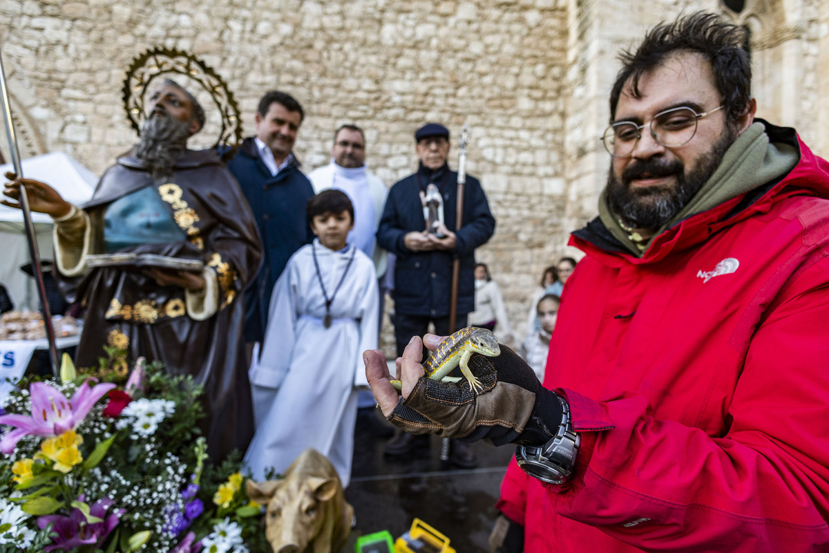 San Antón , bendición de animales en la iglesia de Sanatiago