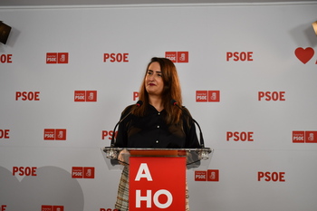 El PSOE ve 'insólitas' las quejas por la inversión en la N-401