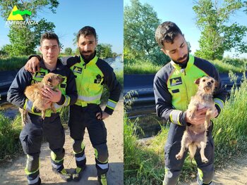 Doble rescate animal de los bomberos de Ciudad Real