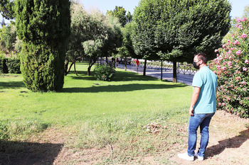 El riego mejora las zonas verdes de la avenida Ciudad Real