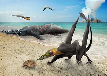 Hallan en Chile restos de un 'dragón volador' del Jurásico