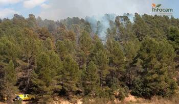 Se declara un incendio forestal en La Pesquera