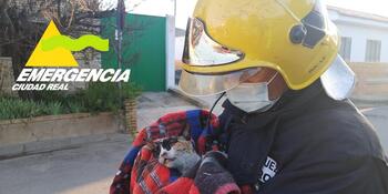 Rescatan a dos gatos en un incendio sin heridos en Las Casas