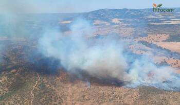 Incendio en Jaén afecta a Ciudad Real y corta la CM-3127