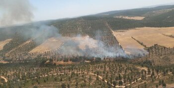 Controlado el incendio forestal de Almadén