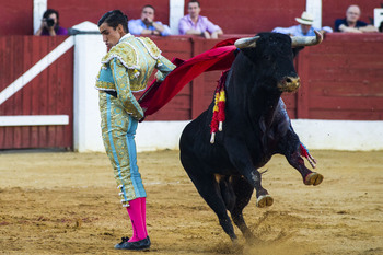 Ángel Téllez abre el ciclo de los toros en la cultura