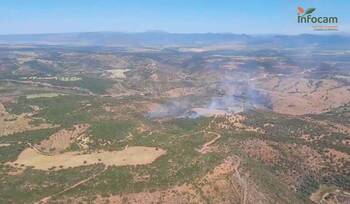 Declarado un incendio forestal entre Albaladejo y Montiel