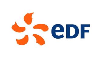 El Gobierno francés pretende nacionalizar completamente EDF