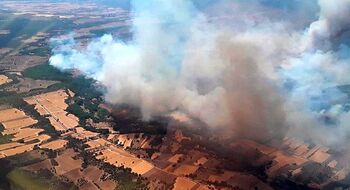 Más de 11.500 hectáreas arrasadas en 500 incendios