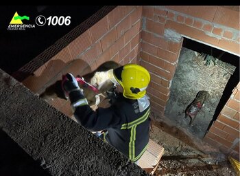 Rescatan a dos perros tras caer al hueco de una casa en obras