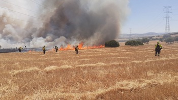 Se declara un incendio cerca de la Dehesa Boyal