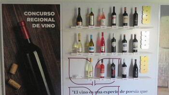 Los vinos de la DO La Mancha, grandes triunfadores en Fercam