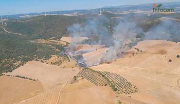Medios aéreos y terrestres combaten incendio en Los Cortijos