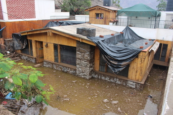 Solman pide ayuda ante los efectos del ciclón Yaku en Perú