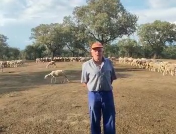 Pastor trashumante pide ayuda urgente para salvar 1.000 ovejas