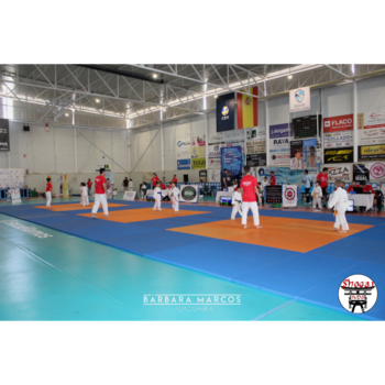 Gran ambiente en el I Torneo Shogai Judo de Socuéllamos