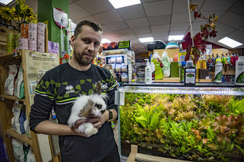 Las tiendas de mascotas temen cierres, abandono y venta ilegal