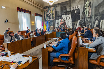 PP y Vox sacan sus primeros presupuestos en la Diputación