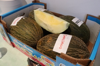 Dulzor,textura y sabor para elegir el mejor melón piel de sapo