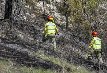 Controlado el incendio del Alto Tajo tras quemar 226 hectáreas