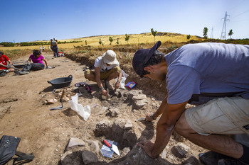 La Junta financia 35 proyectos de arqueología y paleontología
