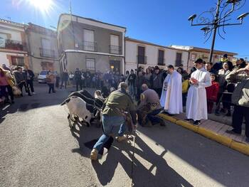 San Antón regresa a Porzuna tras dos años de ausencia