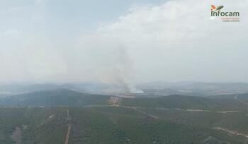 Declarado un incendio forestal en Puebla de Don Rodrigo