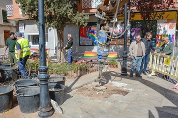 Comienza la reposición de árboles en Doña Crisanta