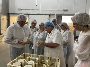 Se duplica la producción de queso en 15 años hasta 17 millones