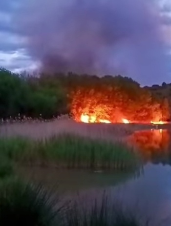 Extinguidos los incendios que afectaron a Las Lagunas