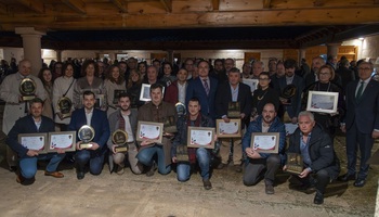 Las bodegas cooperativas triunfan en los premios DO La Mancha