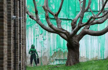 Banksy reaparece en Londres