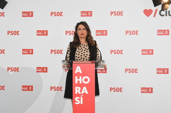 El PSOE echa en cara a Valverde querer usar las instituciones