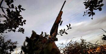 Detenidos por robar armas de caza mayor en monterías