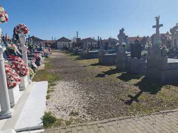 El Ayuntamiento acomete labores de desbroce en el cementerio