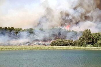 La zona quemada en Ruidera en 2022 se reforestará «en breve»