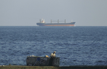 Irán aborda un carguero vinculado a Israel en el golfo de Omán