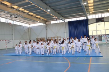 El Club de Judo de Manzanares despide la temporada