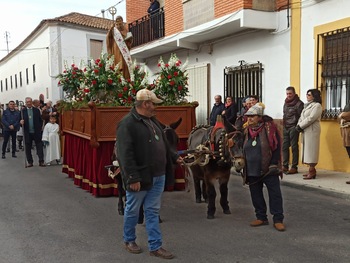 San Antón vuelve a recorrer Alcázar con las mulillas