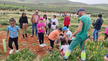 Más de 240 alumnos reforestan el Cerro de San Blas