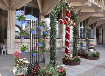 Festejos convoca el III Concurso Local de Cruces de Mayo