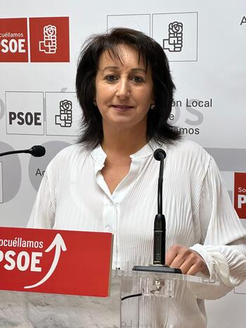 El PSOE tilda de 