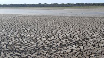 El 2023 seca las lagunas de Doñana